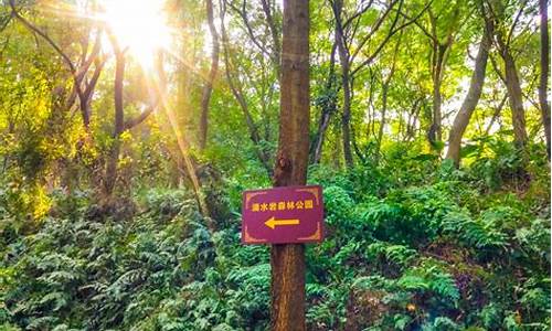 滴水岩森林公园和大夫山森林公园_滴水岩森林公园和大夫山森林公园哪个好玩