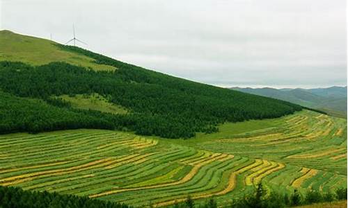 草原天路沽源段自驾游攻略_草原天路沽源段自驾旅游攻略