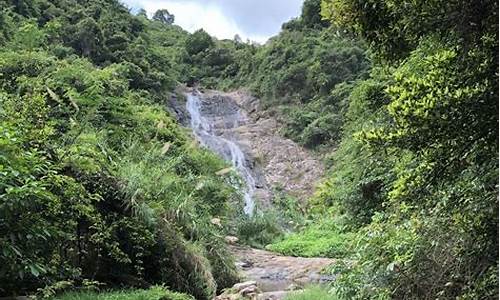 马峦山郊野公园攻略一天最新_马峦山郊野公园攻略 入口