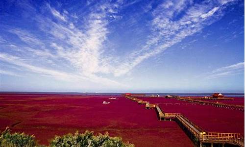 红海滩旅游攻略自助游玩_红海滩旅游攻略