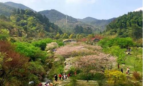 南昌梅岭一日游路线_南昌梅岭风景区一日游攻略