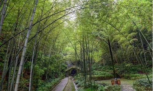 茶山竹海的景点有哪些_茶山竹海自驾游攻略