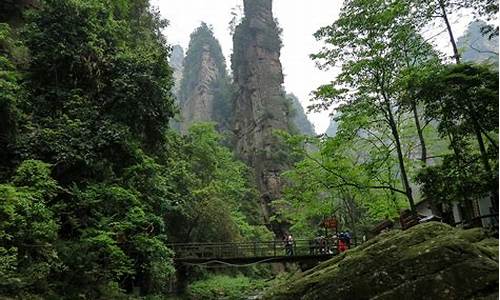 武汉到张家界旅游攻略二日游_武汉到张家界旅游攻略及费用