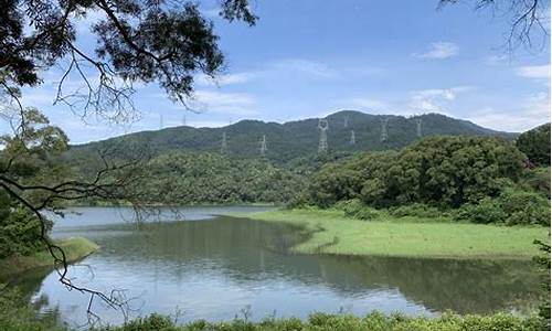 天竺山森林公园_天竺山森林公园门票多少钱