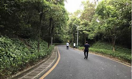 深圳铁仔山公园跑步_深圳铁仔山公园跑步路线