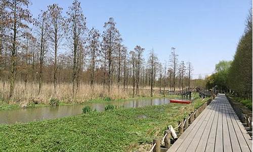 郊野公园万丰公园地址_郊野公园万丰公园地址在哪