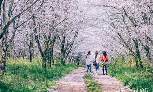 春季旅游景点推荐三天两夜_春季旅游景点推荐三天两夜旅游