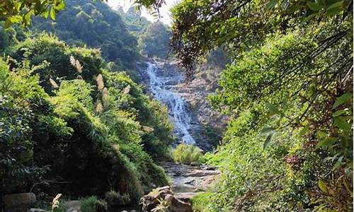 马峦山郊野公园攻略一天最新_马峦山郊野公园攻略 入口