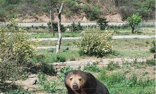 八达岭野生动物园攻略 游览图_八达岭野生动物园攻略 游览图片