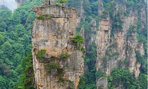 张家界旅游攻略带孩子自由行的地方_张家界旅游攻略带孩子自由行的地方有哪些