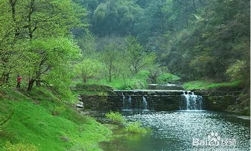 上海 庐山 自由行_上海庐山自驾游攻略